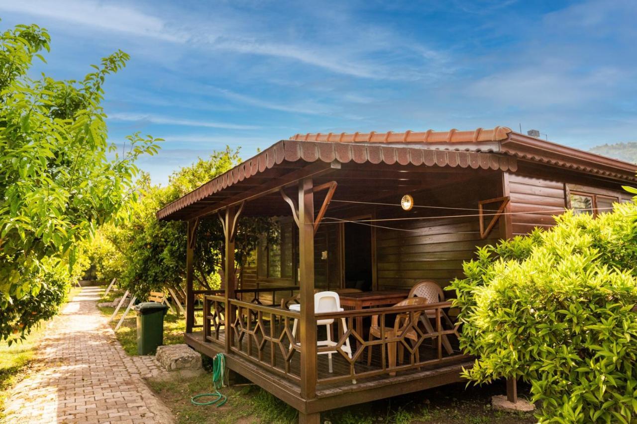 Ikiz Villas Çıralı Exteriör bild