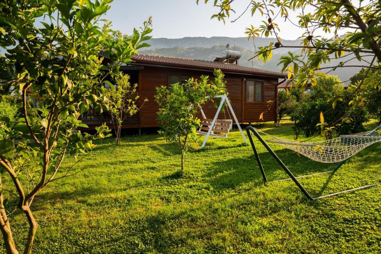 Ikiz Villas Çıralı Exteriör bild
