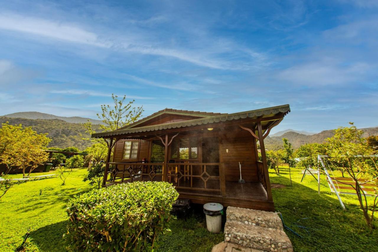 Ikiz Villas Çıralı Exteriör bild