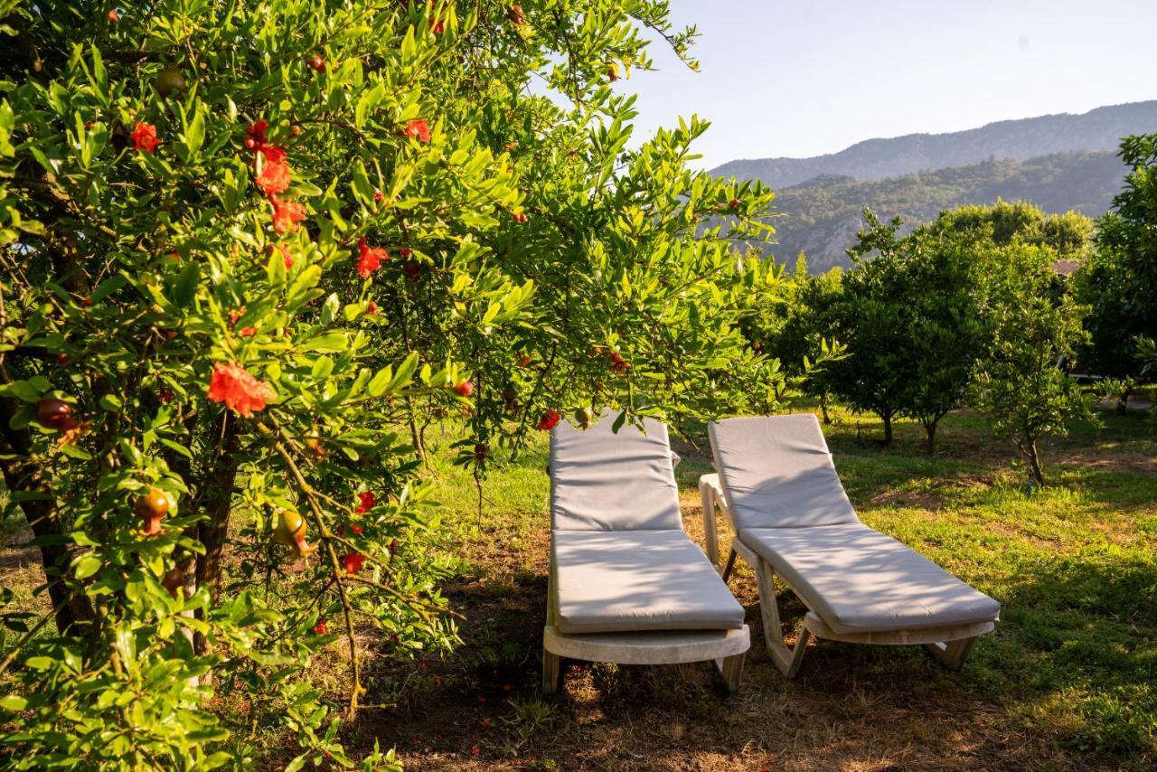 Ikiz Villas Çıralı Exteriör bild