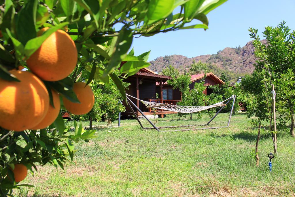 Ikiz Villas Çıralı Exteriör bild