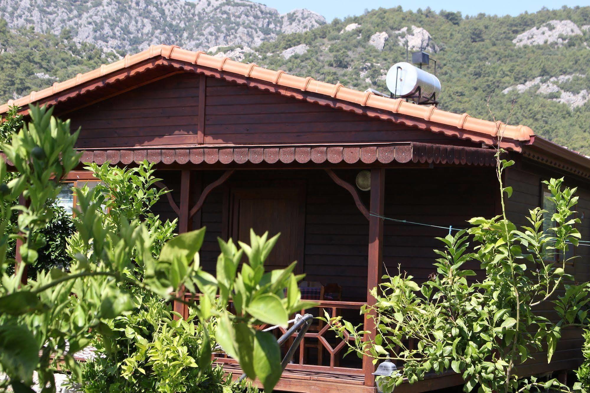 Ikiz Villas Çıralı Exteriör bild