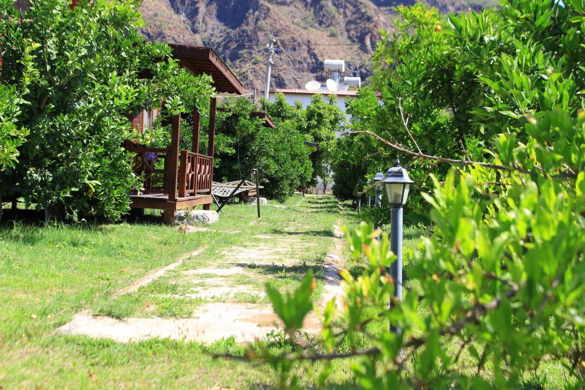 Ikiz Villas Çıralı Exteriör bild
